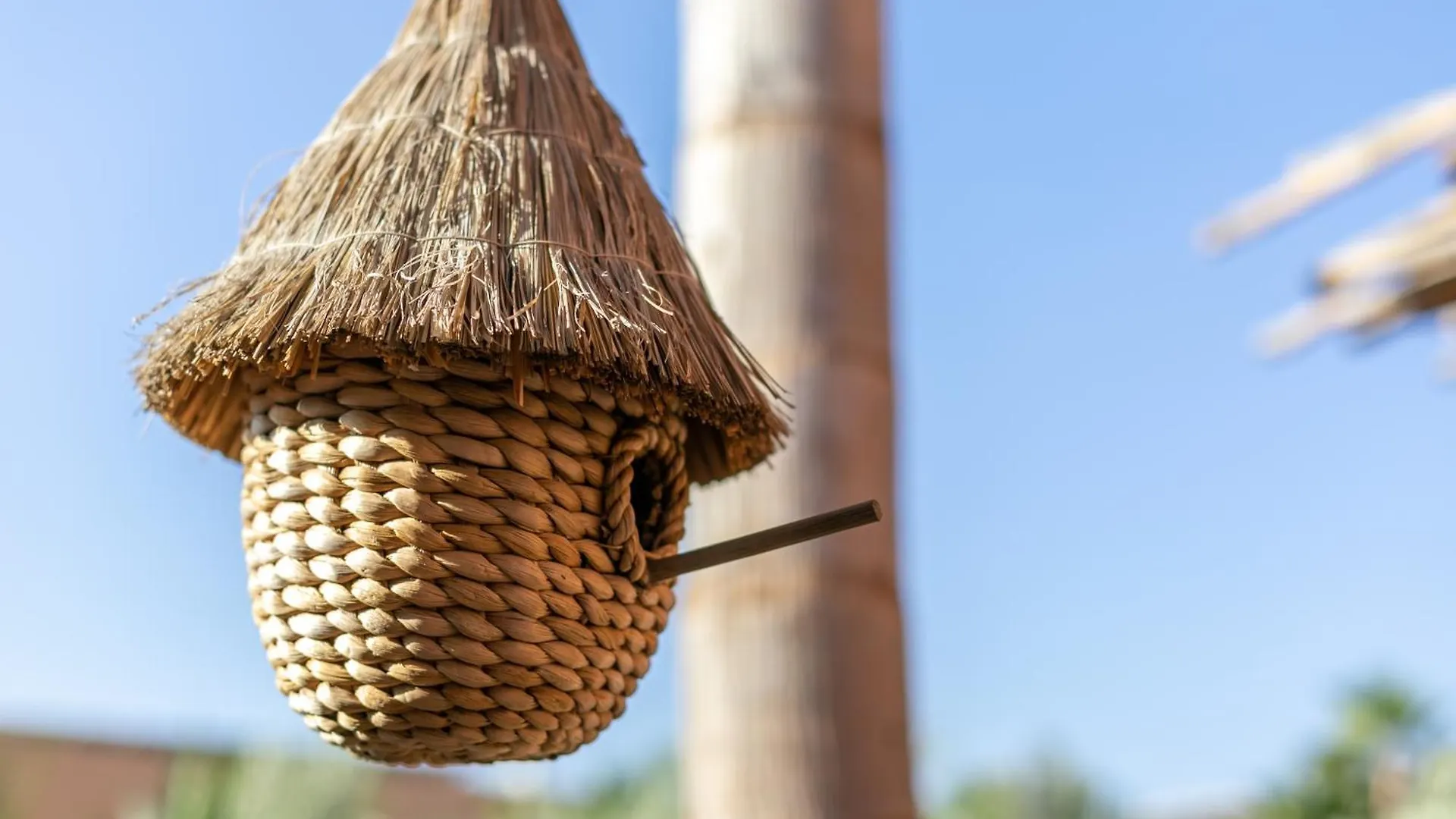 Villa Ecolodge Dar Louma Marrakesh